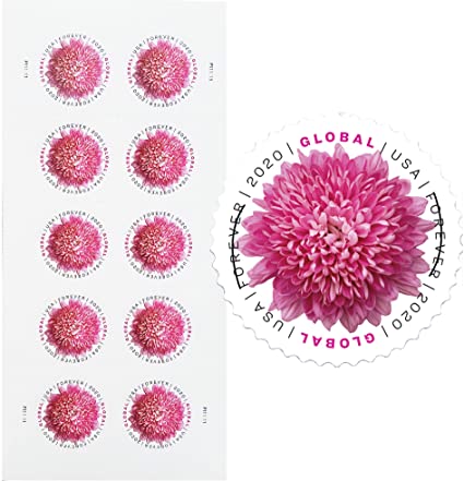 Global Chrysanthemum Global International