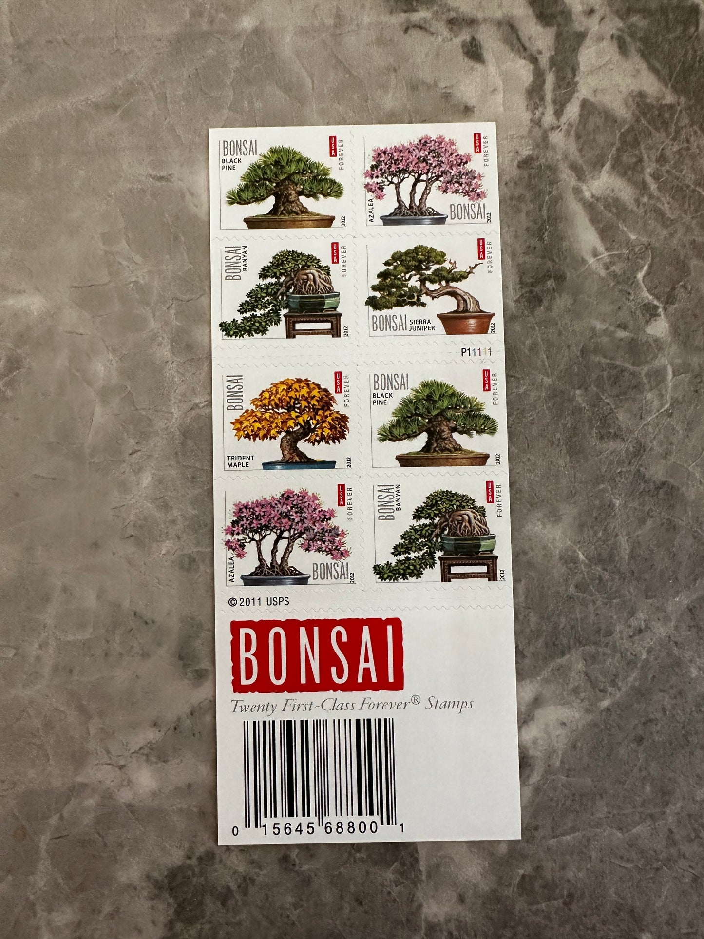 Bonsai Tree