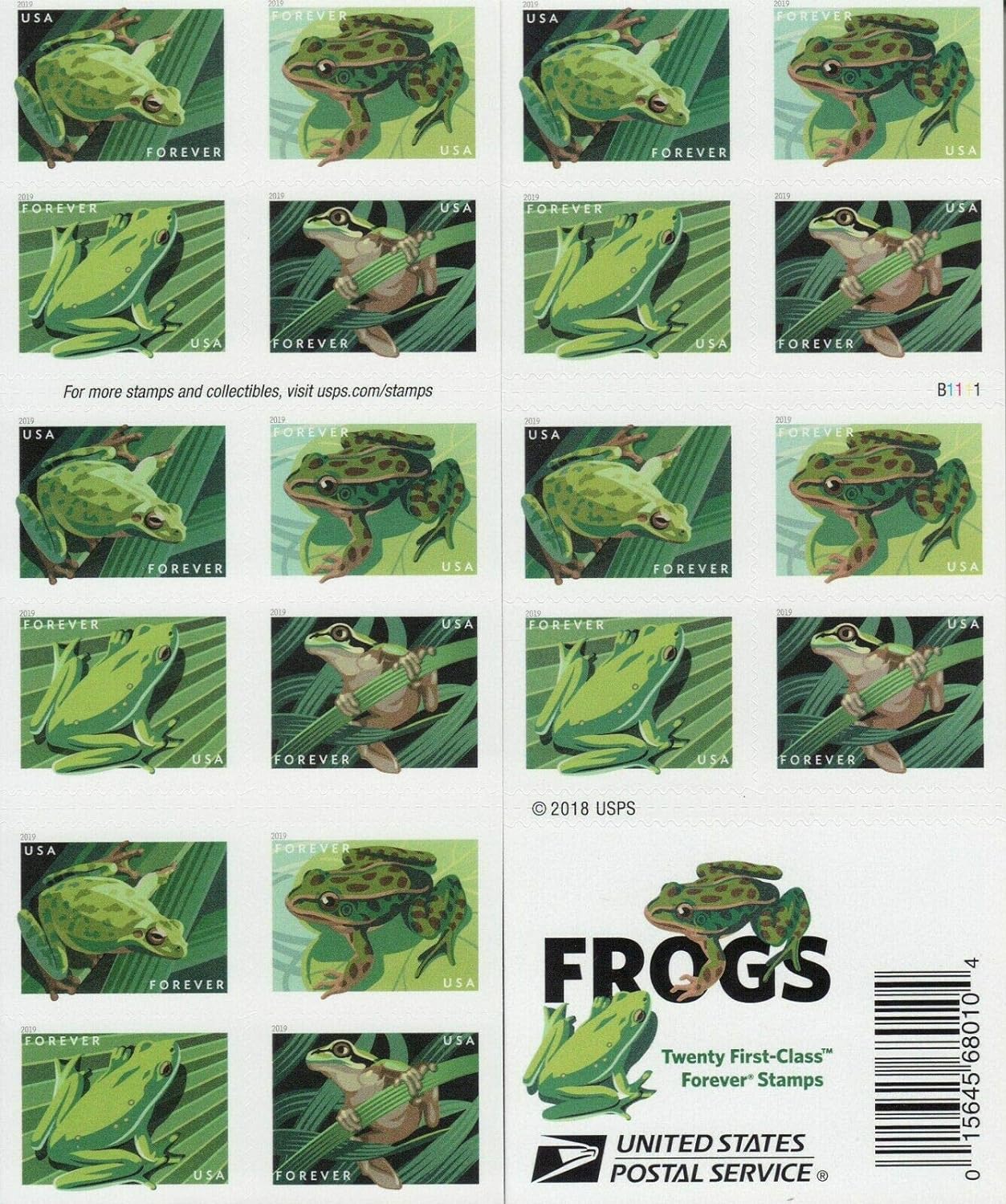 Frogs