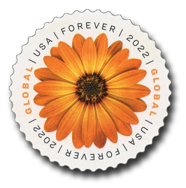 Global African Daisy International Stamps