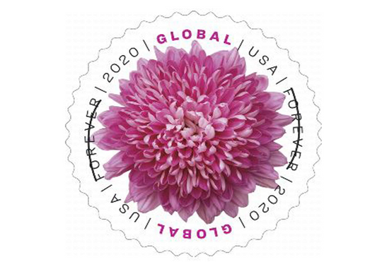 Global Chrysanthemum Global International Forever Stamps
